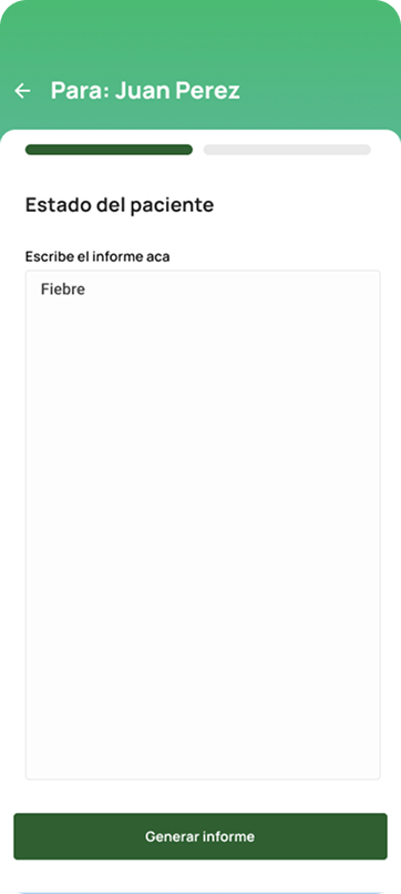 Campo de texto para escribir el informe